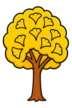 木（イチョウ）